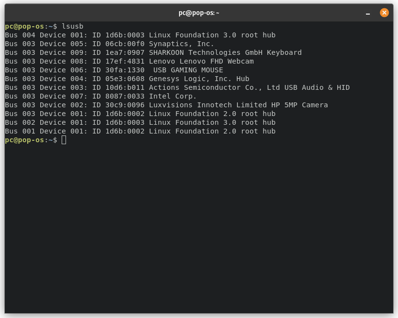 Output of lsusb